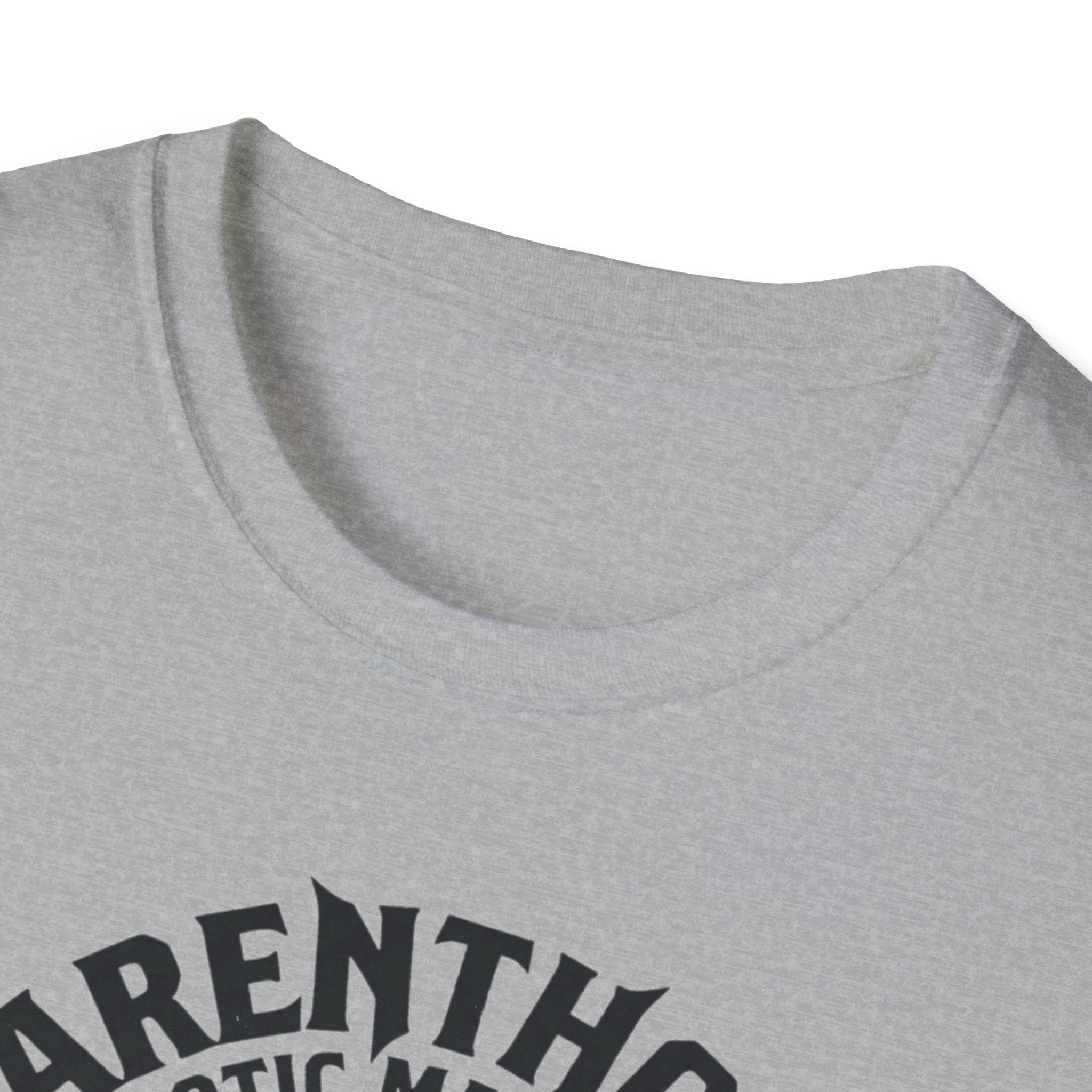 Parenthood A Chaotic Masterclass T-Shirt